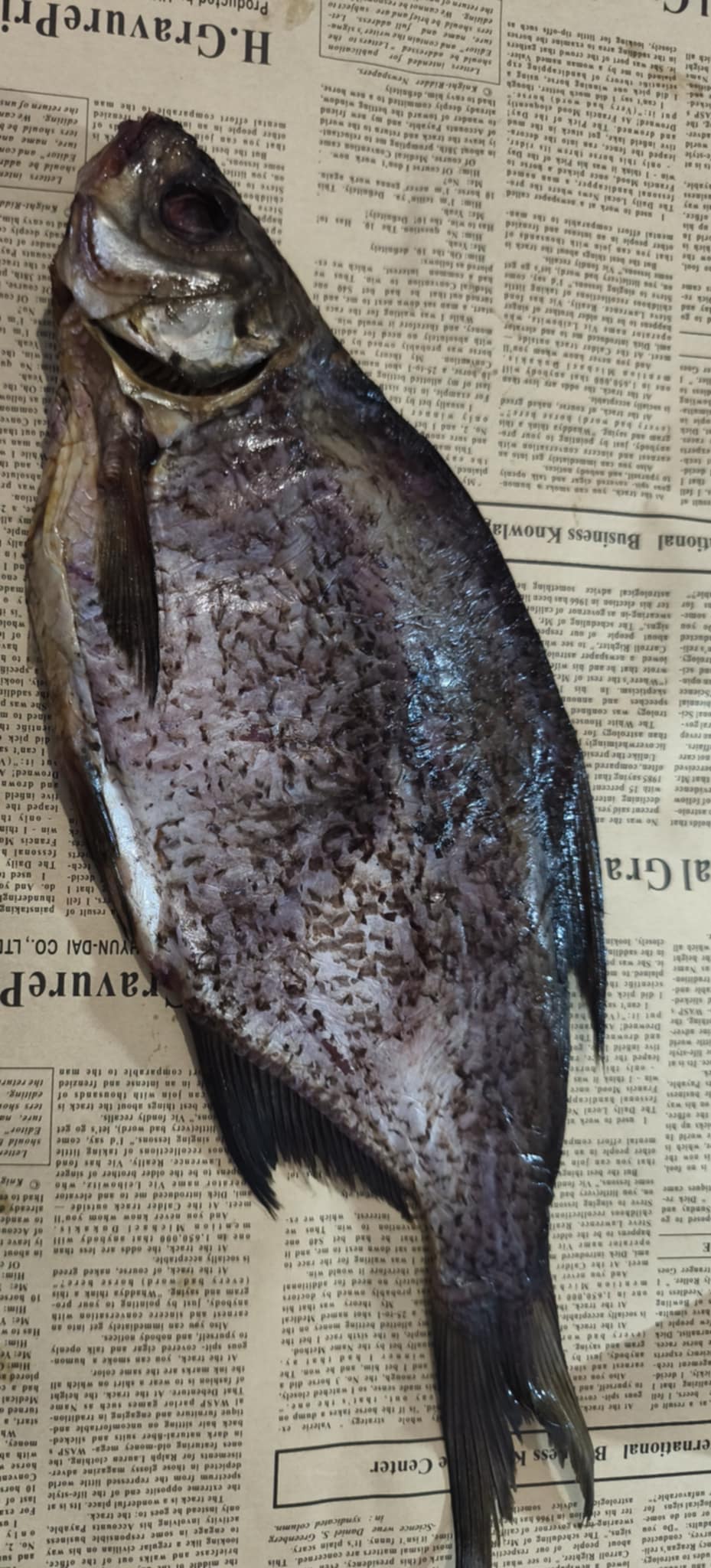 Лящ з ікрою.Остаточна ціна буде після зважування.Ціна не включає 20% обов'язкового пожертвування на Парасольку. Пожертвування потрібно додати під час оформлення замовлення. Дякуємо за вашу підтримку!