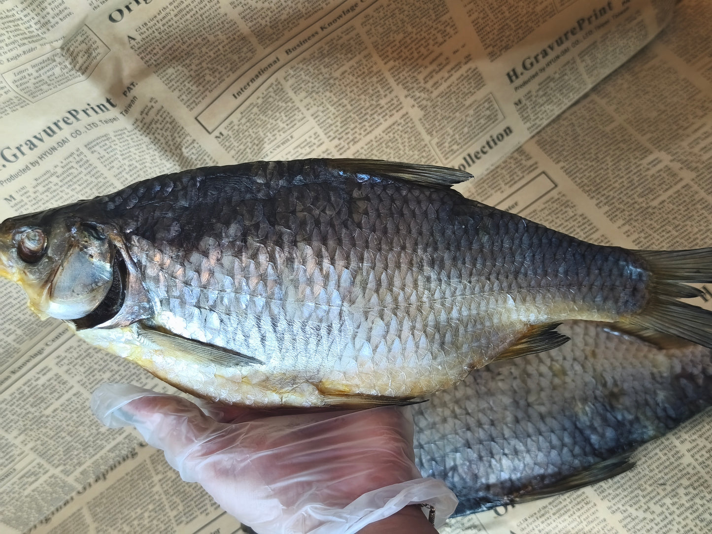 Плотва Велетень в лусці. 100г. Остаточна ціна буде після зважування.Ціна не включає 20% обов'язкового пожертвування на Парасольку. Пожертвування потрібно додати під час оформлення замовлення. Дякуємо за вашу підтримку