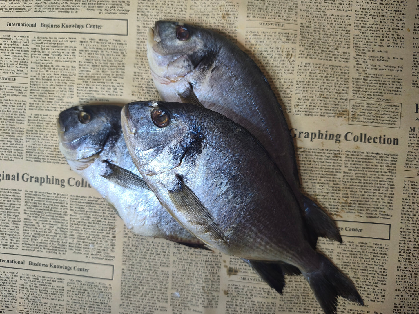 Дорадо в'ялена. 100г. Остаточна ціна буде після зважування.Ціна не включає 20% обов'язкового пожертвування на Парасольку. Пожертвування потрібно додати під час оформлення замовлення. Дякуємо за вашу підтримку