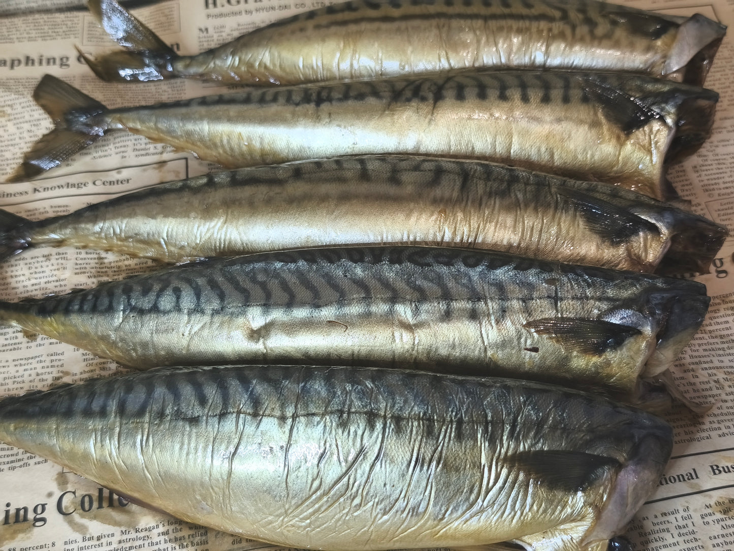 Скумбрія без голови.Остаточна ціна буде після зважування.  Ціна не включає 20% обов'язкового пожертвування на Парасольку. Пожертвування потрібно додати під час оформлення замовлення. Дякуємо за вашу підтримку