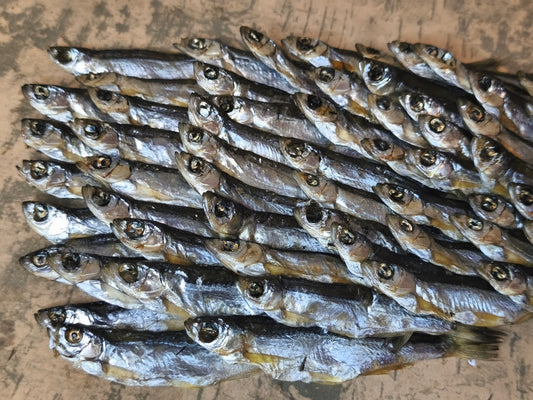 Верховодка. Остаточна ціна буде після зважування. Ціна не включає 20% обов'язкового пожертвування на Парасольку. Пожертвування потрібно додати під час оформлення замовлення. Дякуємо за вашу підтримку